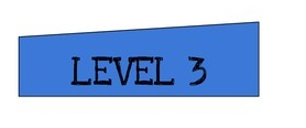 Level 3 